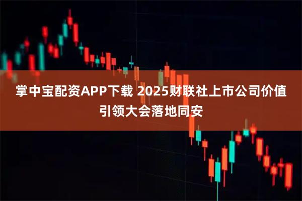 掌中宝配资APP下载 2025财联社上市公司价值引领大会落地同安